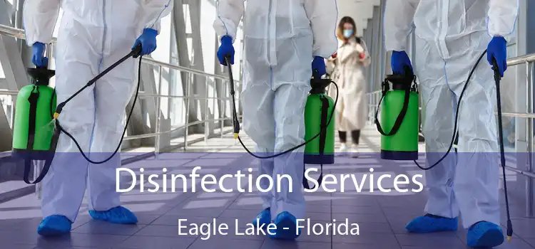 Disinfection Services Eagle Lake - Florida