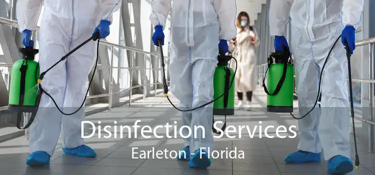 Disinfection Services Earleton - Florida