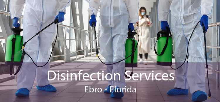 Disinfection Services Ebro - Florida