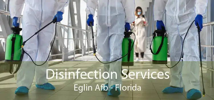 Disinfection Services Eglin Afb - Florida