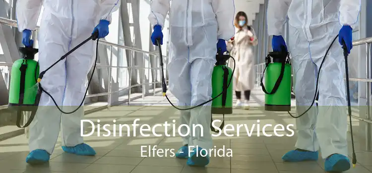 Disinfection Services Elfers - Florida
