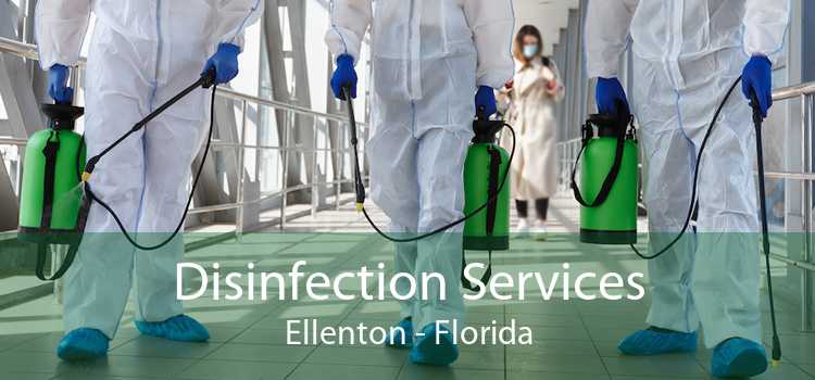 Disinfection Services Ellenton - Florida
