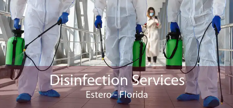 Disinfection Services Estero - Florida
