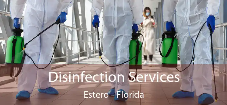 Disinfection Services Estero - Florida