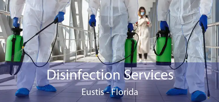 Disinfection Services Eustis - Florida