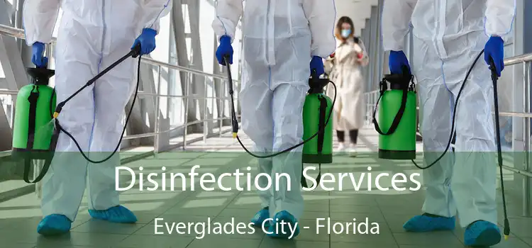 Disinfection Services Everglades City - Florida