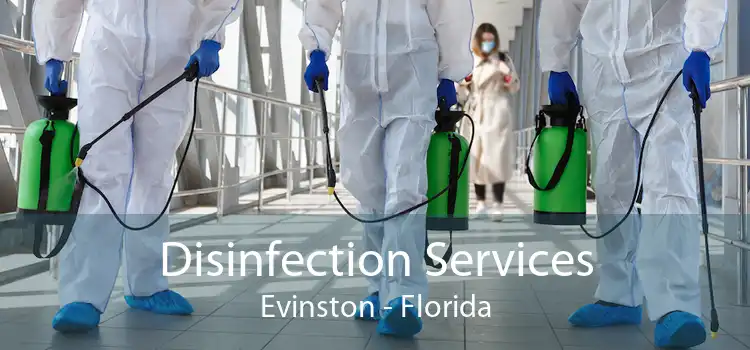 Disinfection Services Evinston - Florida