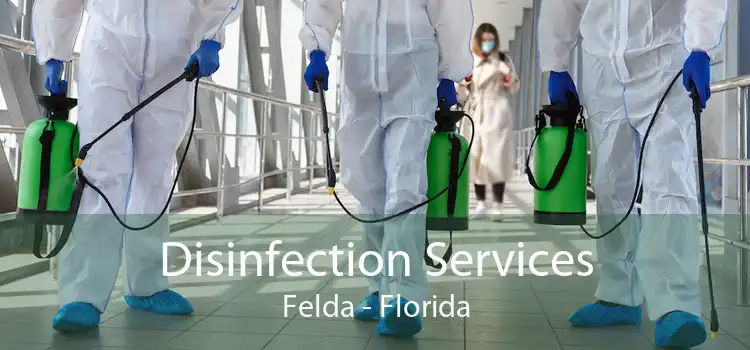 Disinfection Services Felda - Florida