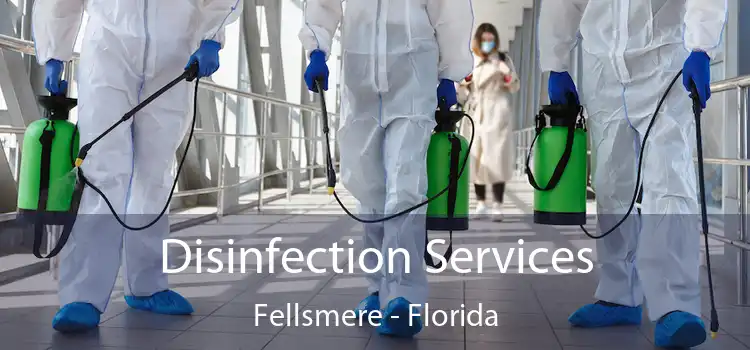 Disinfection Services Fellsmere - Florida