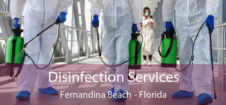 Disinfection Services Fernandina Beach - Florida