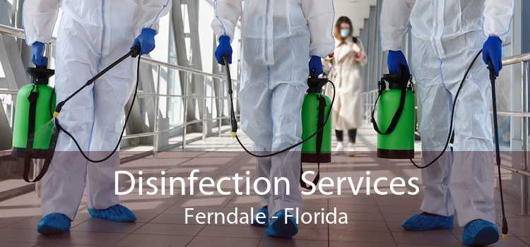Disinfection Services Ferndale - Florida