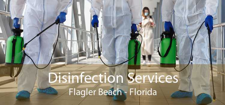 Disinfection Services Flagler Beach - Florida