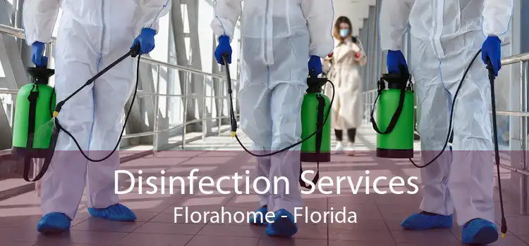 Disinfection Services Florahome - Florida