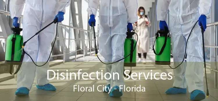 Disinfection Services Floral City - Florida