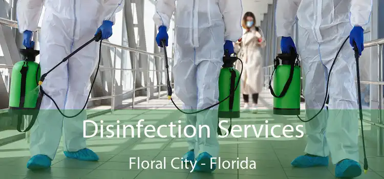 Disinfection Services Floral City - Florida