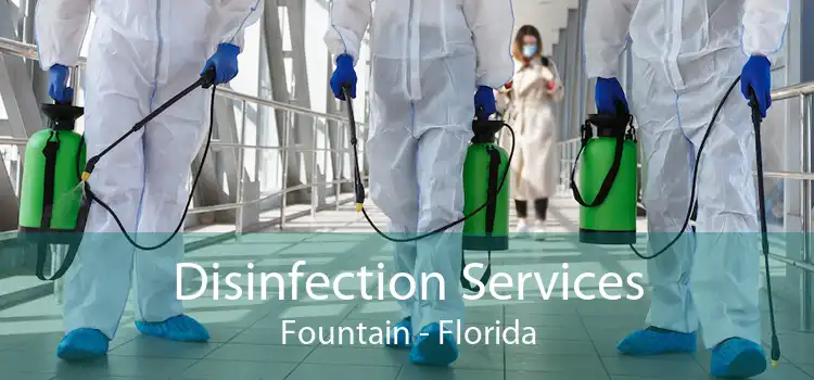 Disinfection Services Fountain - Florida