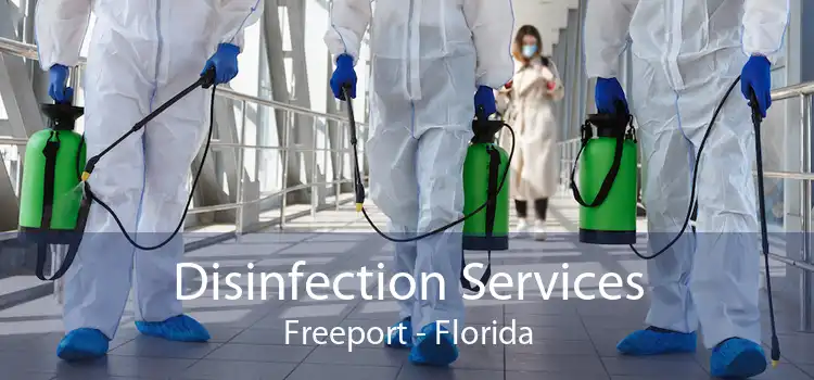 Disinfection Services Freeport - Florida