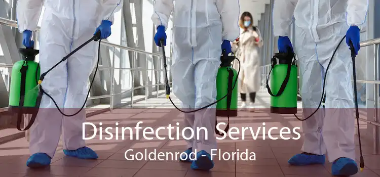 Disinfection Services Goldenrod - Florida