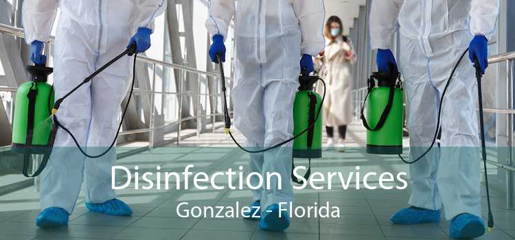 Disinfection Services Gonzalez - Florida