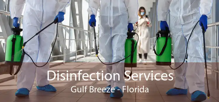 Disinfection Services Gulf Breeze - Florida