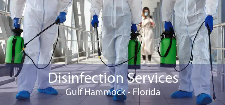 Disinfection Services Gulf Hammock - Florida