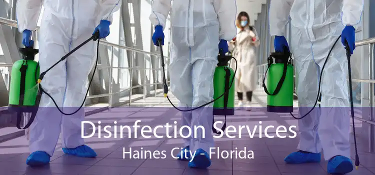 Disinfection Services Haines City - Florida