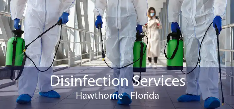 Disinfection Services Hawthorne - Florida