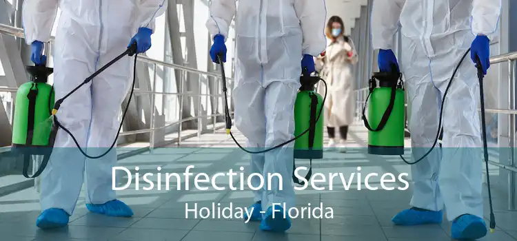 Disinfection Services Holiday - Florida