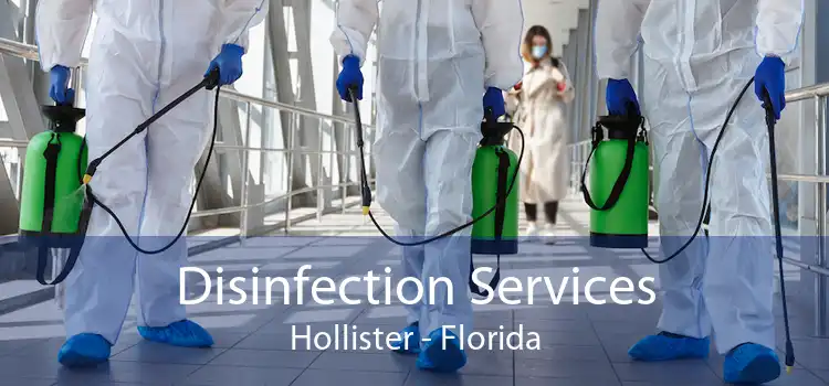 Disinfection Services Hollister - Florida
