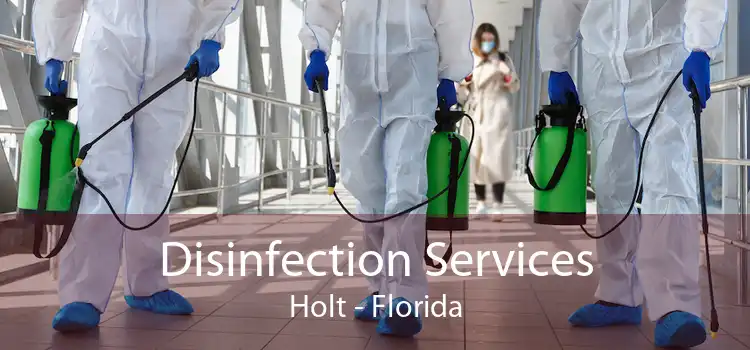 Disinfection Services Holt - Florida