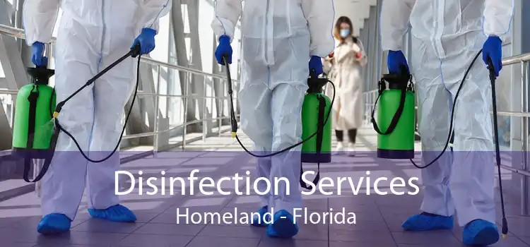 Disinfection Services Homeland - Florida