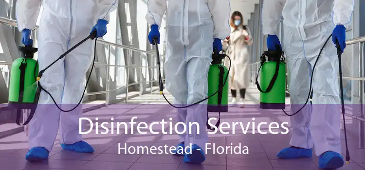 Disinfection Services Homestead - Florida