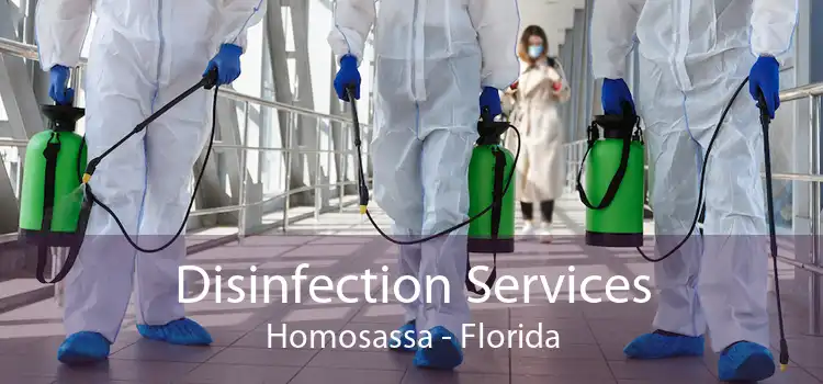 Disinfection Services Homosassa - Florida