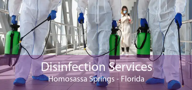 Disinfection Services Homosassa Springs - Florida