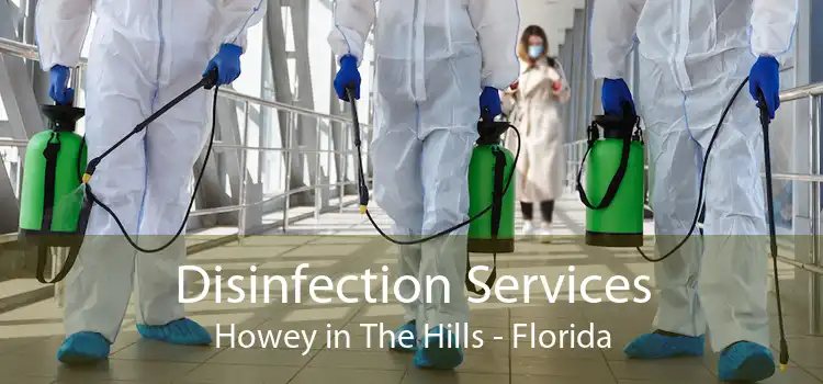 Disinfection Services Howey in The Hills - Florida