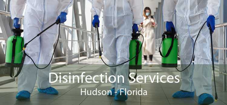Disinfection Services Hudson - Florida