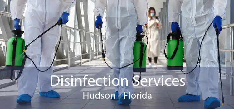 Disinfection Services Hudson - Florida
