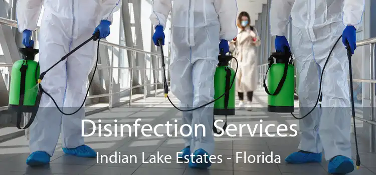 Disinfection Services Indian Lake Estates - Florida