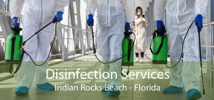 Disinfection Services Indian Rocks Beach - Florida