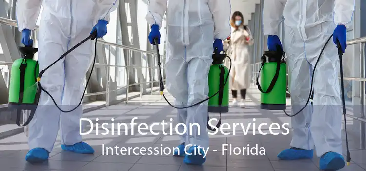 Disinfection Services Intercession City - Florida