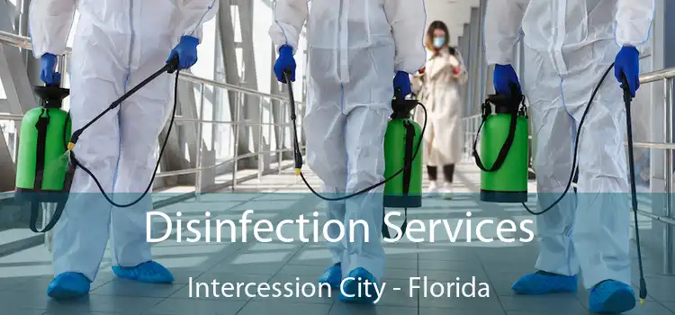 Disinfection Services Intercession City - Florida