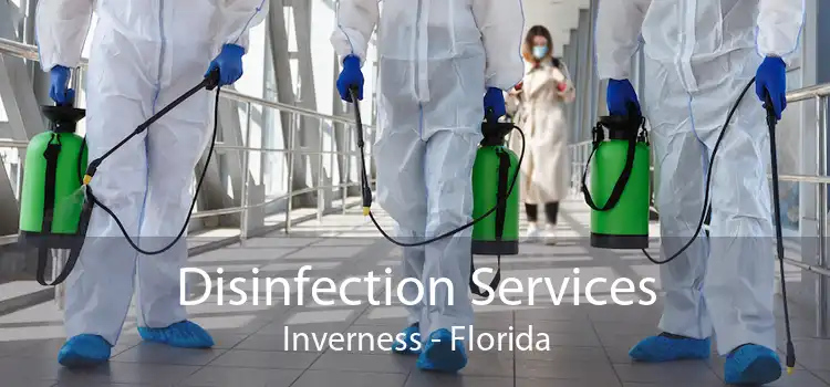 Disinfection Services Inverness - Florida