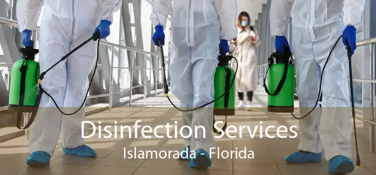 Disinfection Services Islamorada - Florida