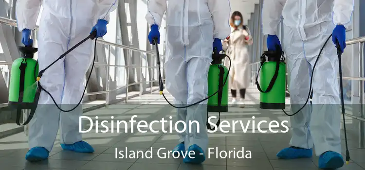 Disinfection Services Island Grove - Florida