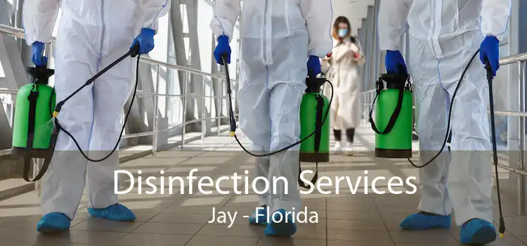 Disinfection Services Jay - Florida