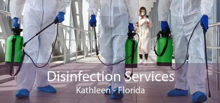 Disinfection Services Kathleen - Florida