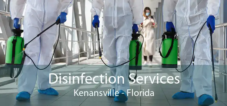 Disinfection Services Kenansville - Florida