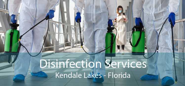 Disinfection Services Kendale Lakes - Florida