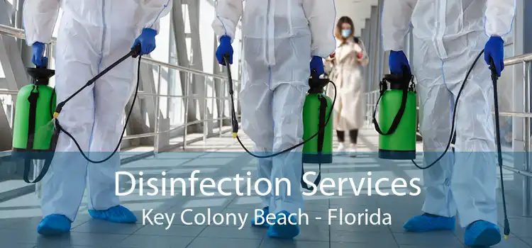 Disinfection Services Key Colony Beach - Florida