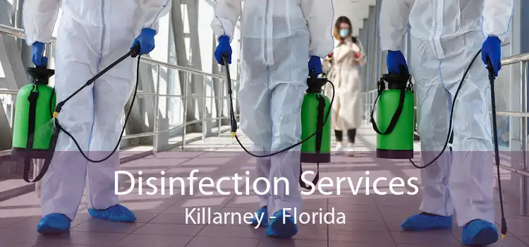 Disinfection Services Killarney - Florida